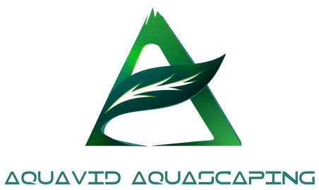 Aquavid Aquascaping