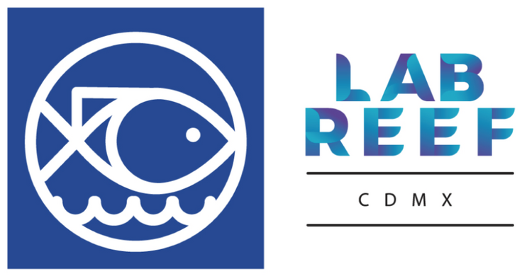 LAB REEF